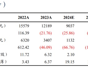 【东吴电新】永兴材料2024年业绩预告点评：Q4业绩符合预期，成本优势显著