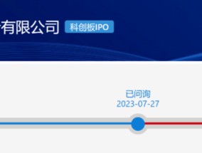 上交所决定，终止对长光辰芯科创板IPO的审核