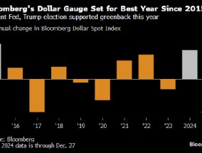 美元迈向九年来最佳年度表现 受美国经济和特朗普关税威胁支撑
