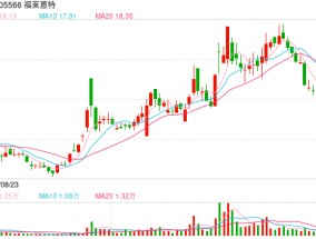 实探福莱蒽特两处停产工厂：有少量员工留守 公司称2025年回归染料主业