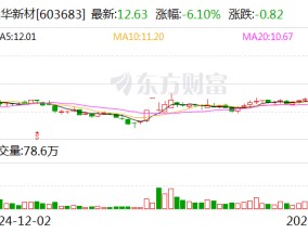 晶华新材：拟投资3亿元建设电子级高端胶粘新材料生产及研发中心项目